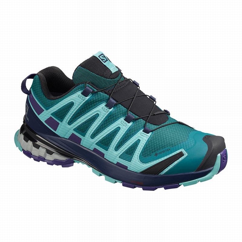 Buty Do Biegania W Terenie Damskie Salomon XA PRO 3D V8 GORE-TEX - Niebieskie - Polska (413-PZCRMF)